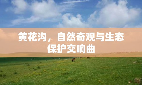 黃花溝，自然奇觀與生態(tài)保護交響曲