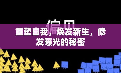 重塑自我，煥發(fā)新生，修發(fā)曝光的秘密