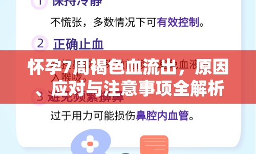 懷孕7周褐色血流出，原因、應(yīng)對與注意事項全解析