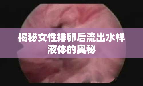 揭秘女性排卵后流出水樣液體的奧秘