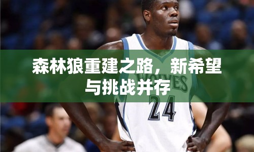 森林狼重建之路，新希望與挑戰(zhàn)并存