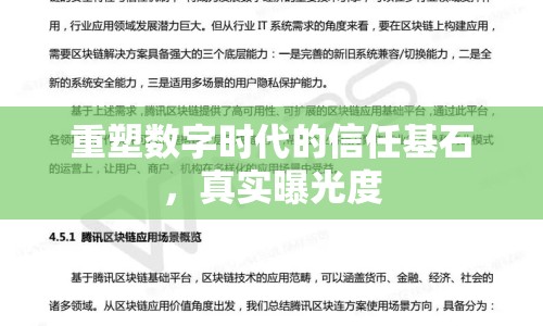 重塑數(shù)字時代的信任基石，真實曝光度