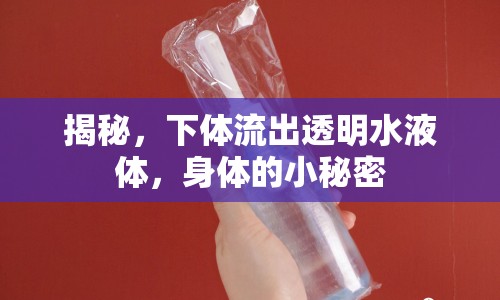 揭秘，下體流出透明水液體，身體的小秘密