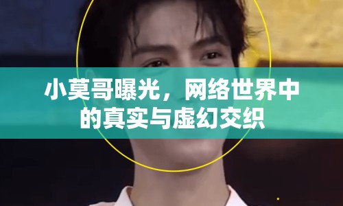 小莫哥曝光，網(wǎng)絡(luò)世界中的真實(shí)與虛幻交織