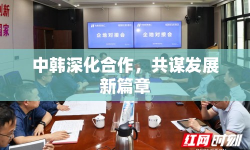 中韓深化合作，共謀發(fā)展新篇章