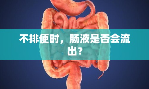 不排便時(shí)，腸液是否會(huì)流出？