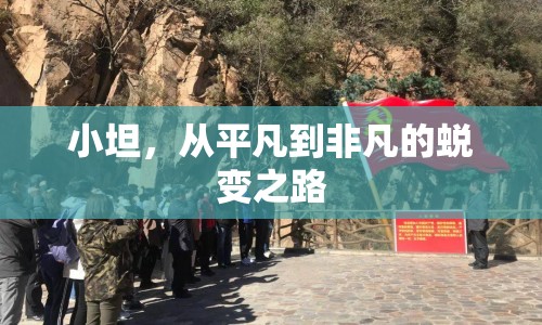 小坦，從平凡到非凡的蛻變之路
