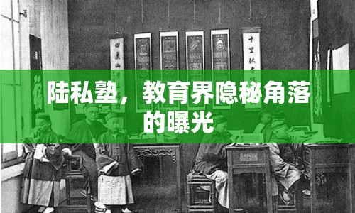 陸私塾，教育界隱秘角落的曝光