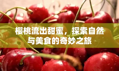 櫻桃流出甜蜜，探索自然與美食的奇妙之旅
