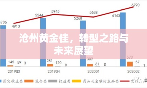 滄州黃金佳，轉(zhuǎn)型之路與未來展望