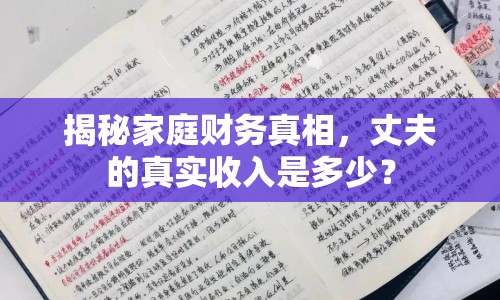 揭秘家庭財務(wù)真相，丈夫的真實收入是多少？