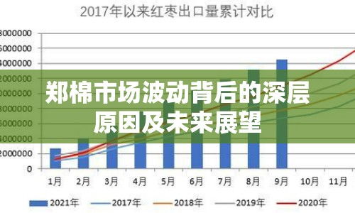 鄭棉市場(chǎng)波動(dòng)背后的深層原因及未來展望