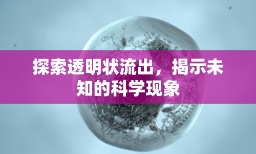 探索透明狀流出，揭示未知的科學現象