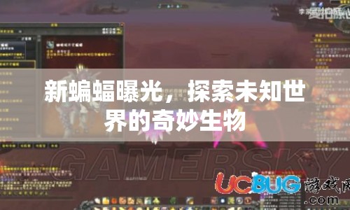 新蝙蝠曝光，探索未知世界的奇妙生物