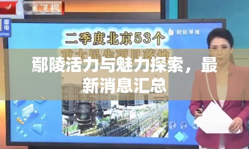 鄢陵活力與魅力探索，最新消息匯總
