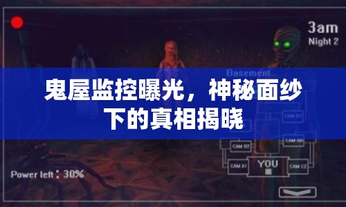 鬼屋監(jiān)控曝光，神秘面紗下的真相揭曉