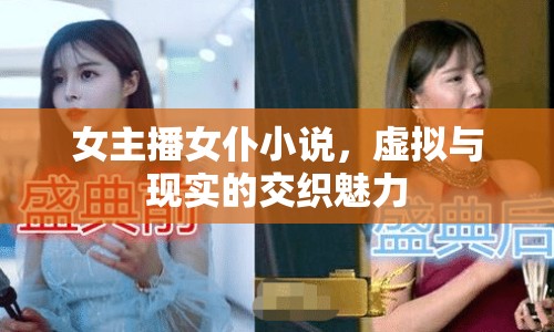 女主播女仆小說，虛擬與現(xiàn)實(shí)的交織魅力
