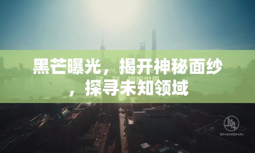 黑芒曝光，揭開神秘面紗，探尋未知領(lǐng)域