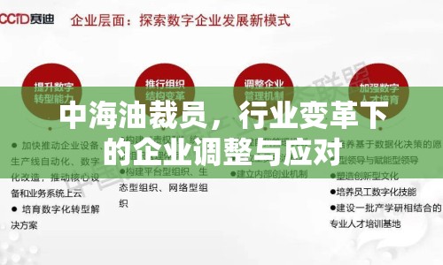 中海油裁員，行業(yè)變革下的企業(yè)調(diào)整與應(yīng)對(duì)