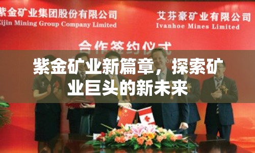紫金礦業(yè)新篇章，探索礦業(yè)巨頭的新未來