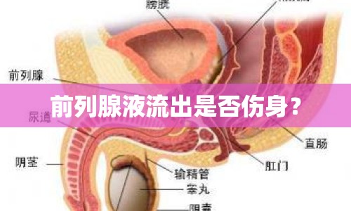 前列腺液流出是否傷身？