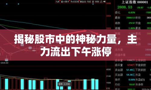 揭秘股市中的神秘力量，主力流出下午漲停