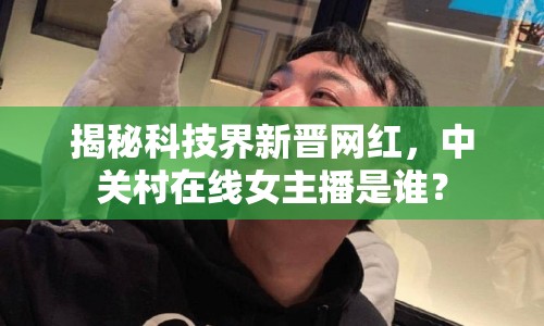 揭秘科技界新晉網(wǎng)紅，中關(guān)村在線女主播是誰(shuí)？