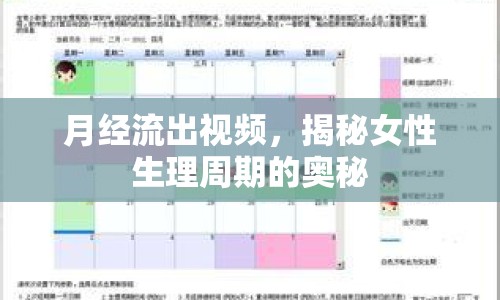 月經(jīng)流出視頻，揭秘女性生理周期的奧秘