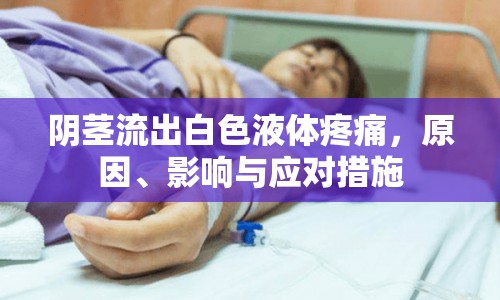 陰莖流出白色液體疼痛，原因、影響與應(yīng)對措施