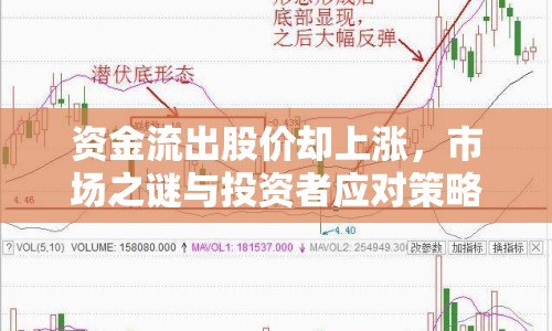 資金流出股價卻上漲，市場之謎與投資者應(yīng)對策略