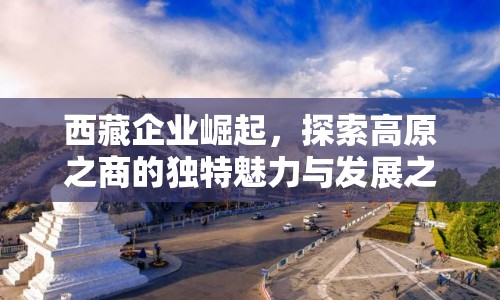 西藏企業(yè)崛起，探索高原之商的獨(dú)特魅力與發(fā)展之路
