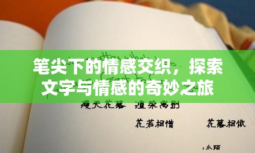 筆尖下的情感交織，探索文字與情感的奇妙之旅