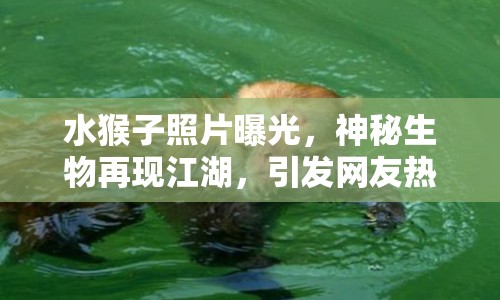 水猴子照片曝光，神秘生物再現(xiàn)江湖，引發(fā)網(wǎng)友熱議