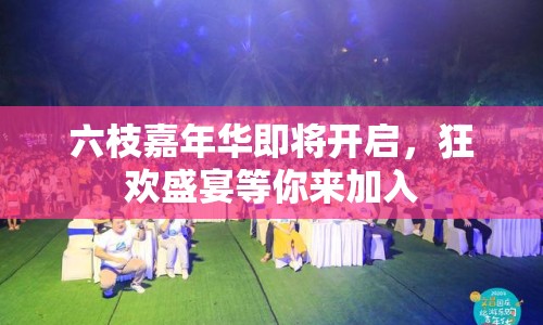 六枝嘉年華即將開啟，狂歡盛宴等你來加入