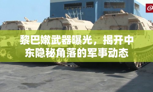 黎巴嫩武器曝光，揭開中東隱秘角落的軍事動(dòng)態(tài)