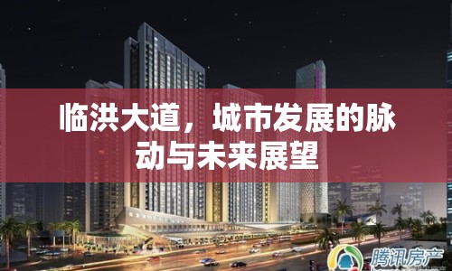 臨洪大道，城市發(fā)展的脈動與未來展望