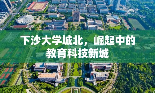 下沙大學(xué)城北，崛起中的教育科技新城