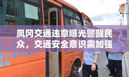 鳳岡交通違章曝光警醒民眾，交通安全意識需加強