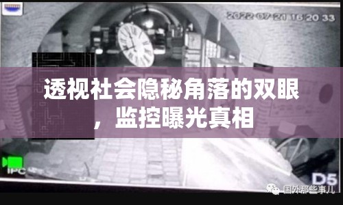 透視社會隱秘角落的雙眼，監(jiān)控曝光真相