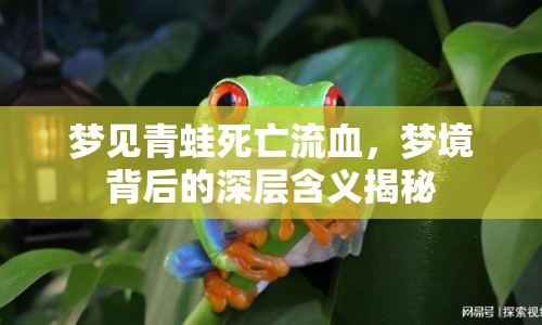 夢見青蛙死亡流血，夢境背后的深層含義揭秘