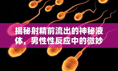 揭秘射精前流出的神秘液體，男性性反應(yīng)中的微妙變化