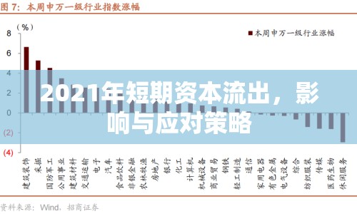 2021年短期資本流出，影響與應對策略