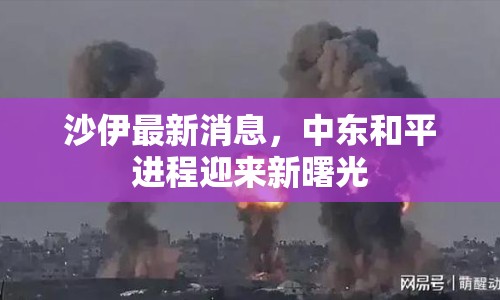沙伊最新消息，中東和平進(jìn)程迎來新曙光