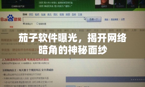茄子軟件曝光，揭開(kāi)網(wǎng)絡(luò)暗角的神秘面紗