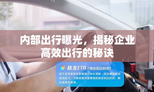 內(nèi)部出行曝光，揭秘企業(yè)高效出行的秘訣