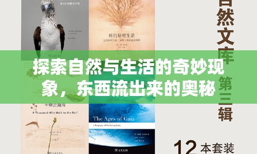 探索自然與生活的奇妙現象，東西流出來的奧秘