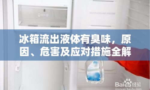 冰箱流出液體有臭味，原因、危害及應(yīng)對措施全解析