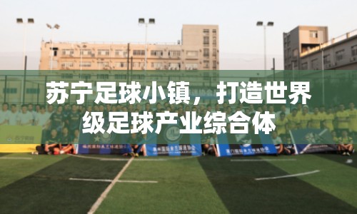 蘇寧足球小鎮(zhèn)，打造世界級足球產(chǎn)業(yè)綜合體
