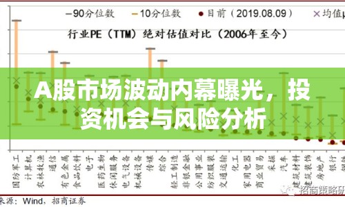 A股市場波動內(nèi)幕曝光，投資機會與風(fēng)險分析