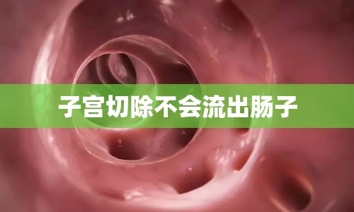 子宮切除不會(huì)流出腸子